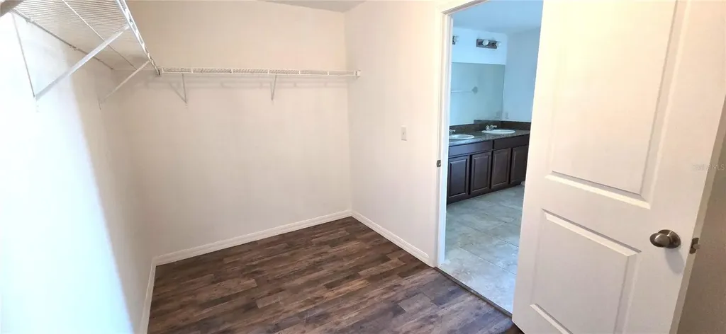 10033 Crested Fringe Drive Riverview FL 33578