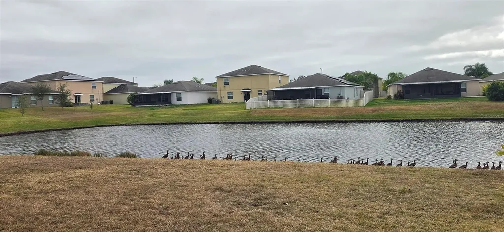10033 Crested Fringe Drive Riverview FL 33578
