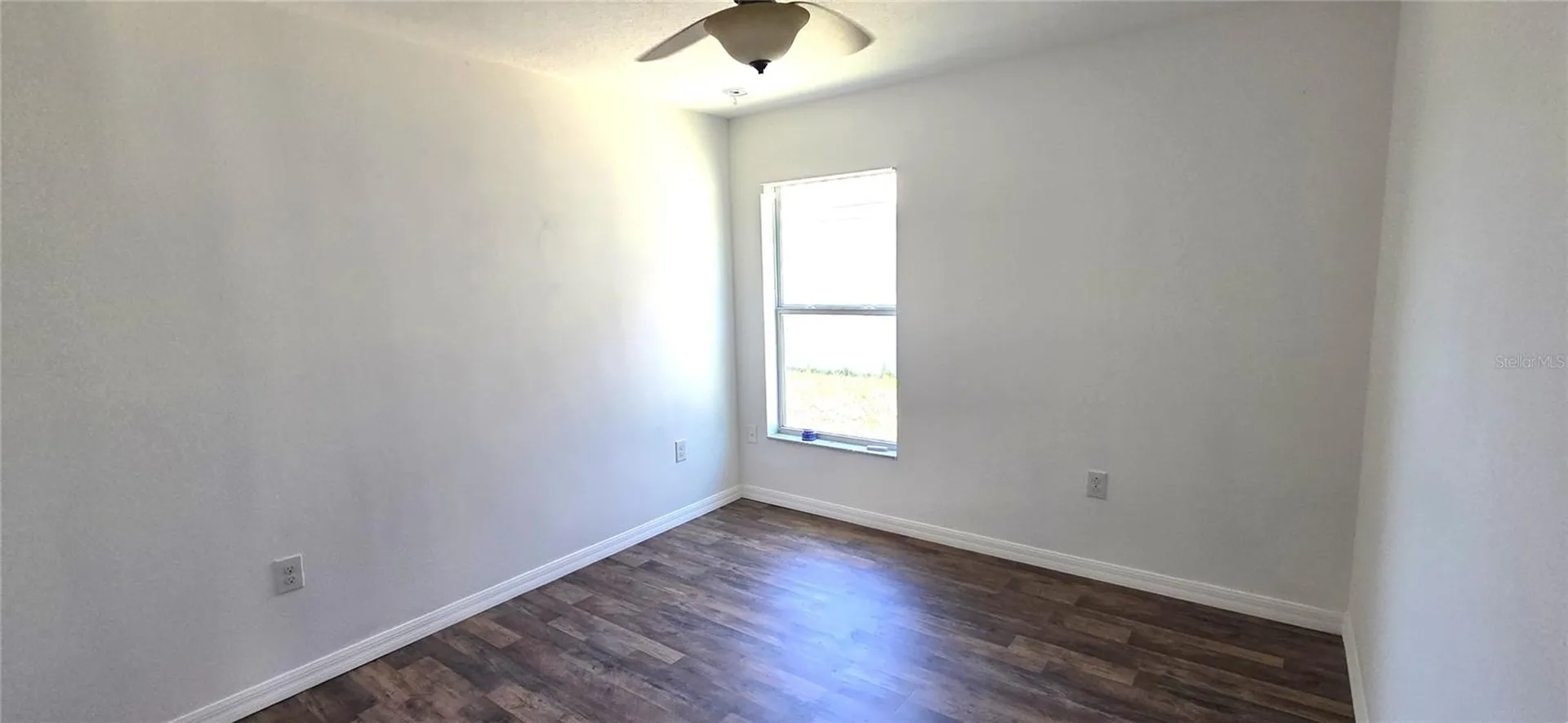10033 Crested Fringe Drive Riverview FL 33578