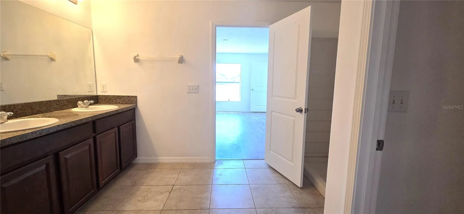 10033 Crested Fringe Drive Riverview FL 33578