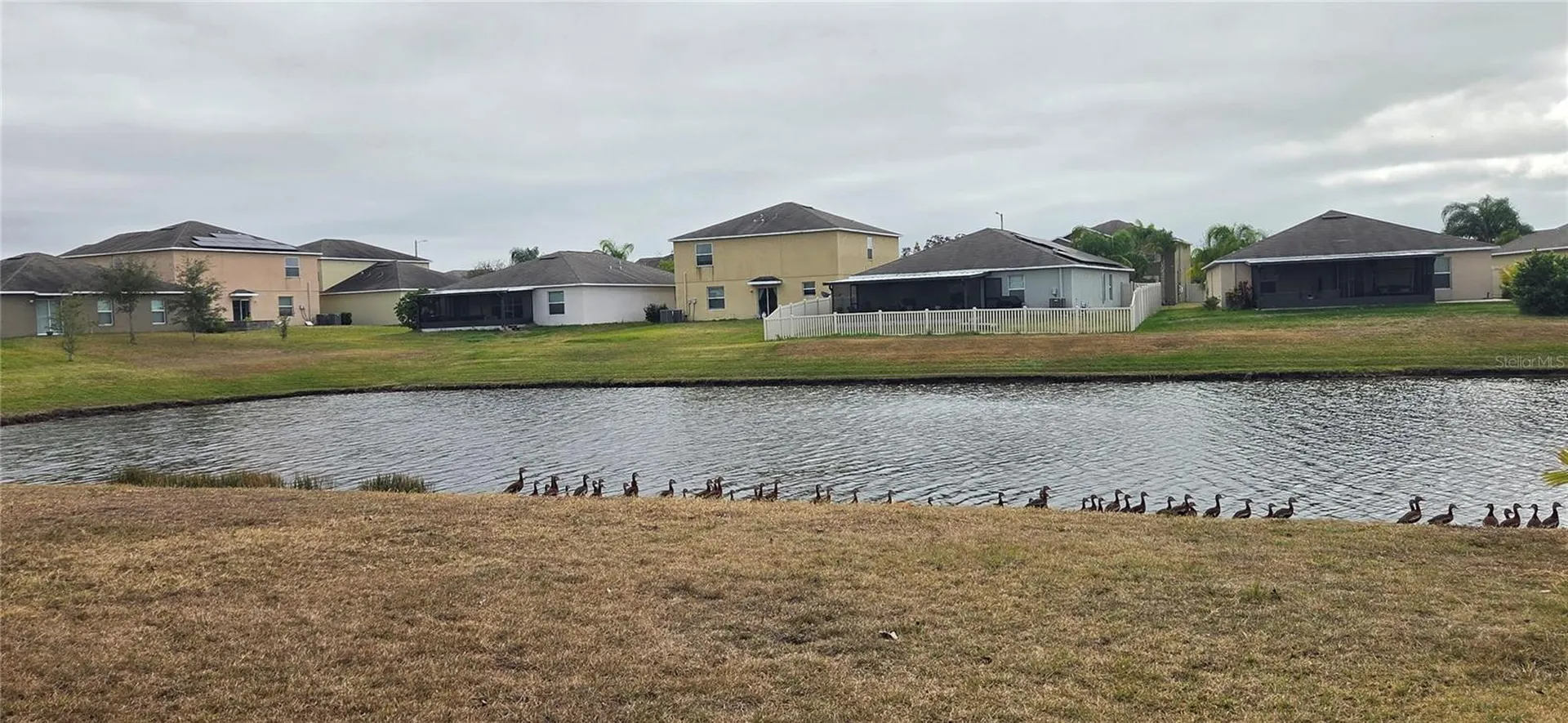 10033 Crested Fringe Drive Riverview FL 33578