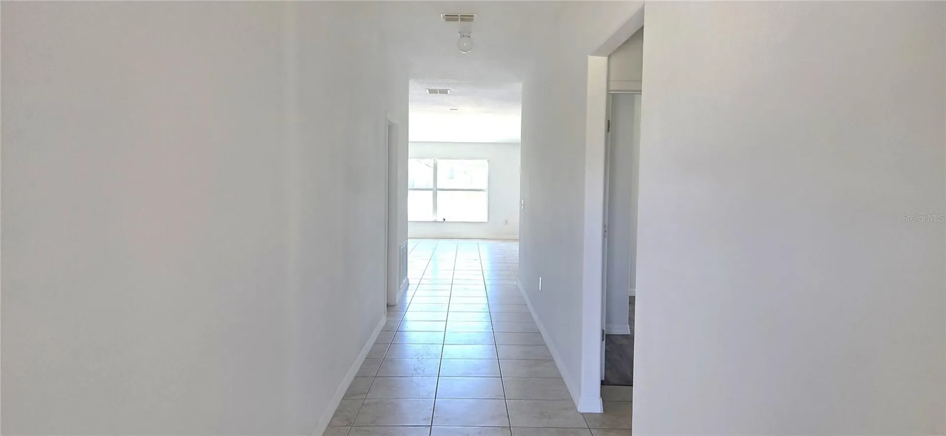 10033 Crested Fringe Drive Riverview FL 33578