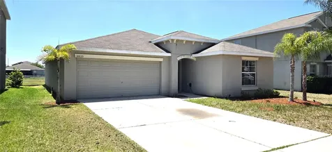 10033 Crested Fringe Drive Riverview FL 33578