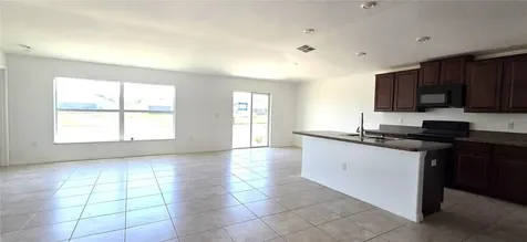 10033 Crested Fringe Drive Riverview FL 33578