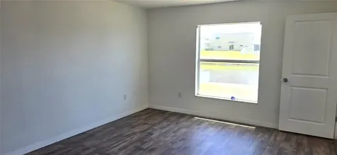 10033 Crested Fringe Drive Riverview FL 33578