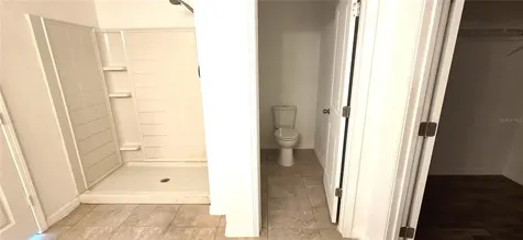 10033 Crested Fringe Drive Riverview FL 33578