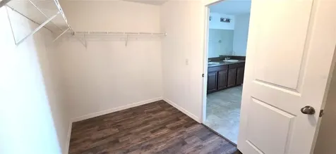 10033 Crested Fringe Drive Riverview FL 33578
