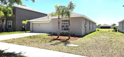 10033 Crested Fringe Drive Riverview FL 33578