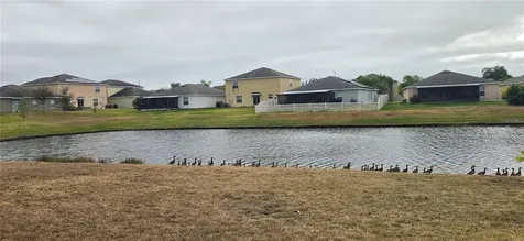 10033 Crested Fringe Drive Riverview FL 33578