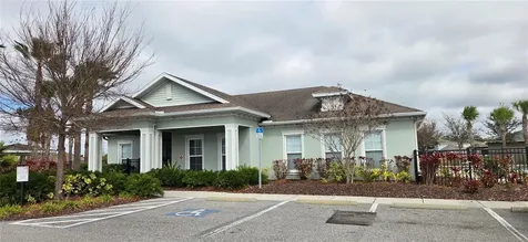 10033 Crested Fringe Drive Riverview FL 33578