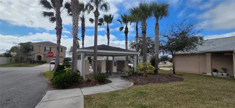 10033 Crested Fringe Drive Riverview FL 33578