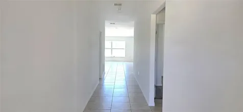 10033 Crested Fringe Drive Riverview FL 33578