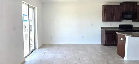 10033 Crested Fringe Drive Riverview FL 33578