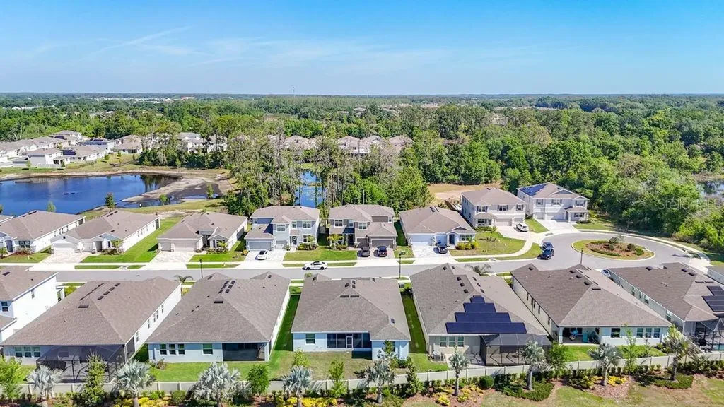 23278 Scaglione Drive Lutz FL 33549