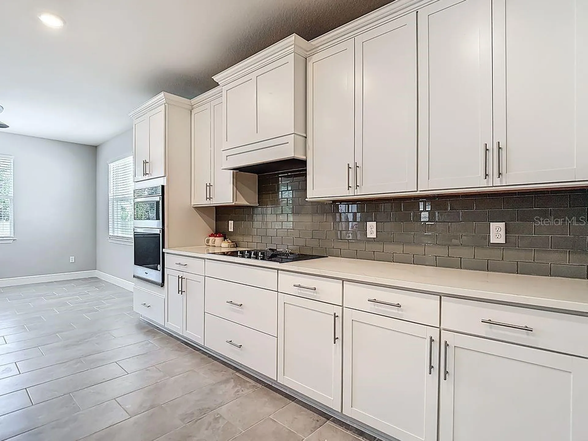 23278 Scaglione Drive Lutz FL 33549
