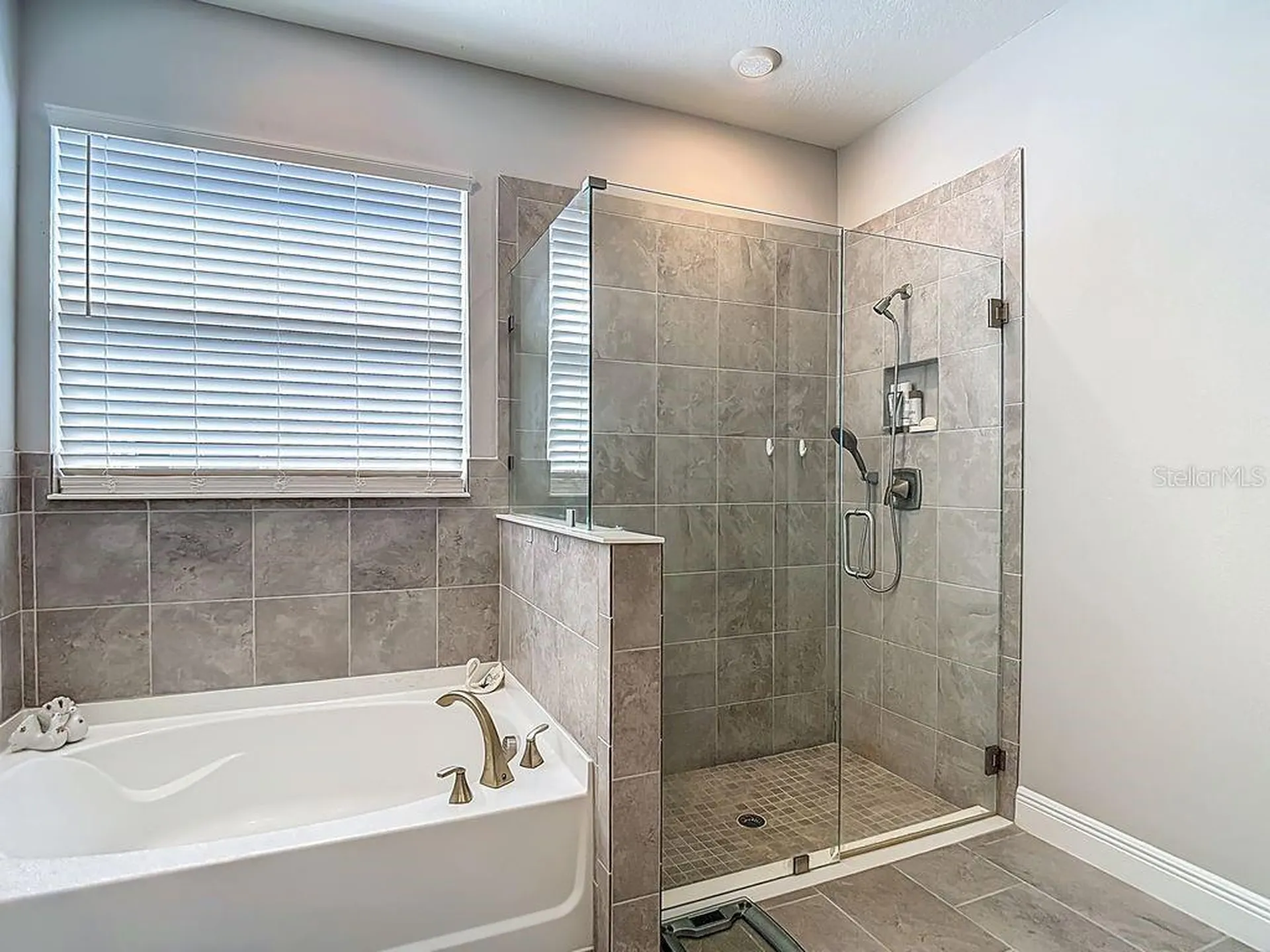 23278 Scaglione Drive Lutz FL 33549