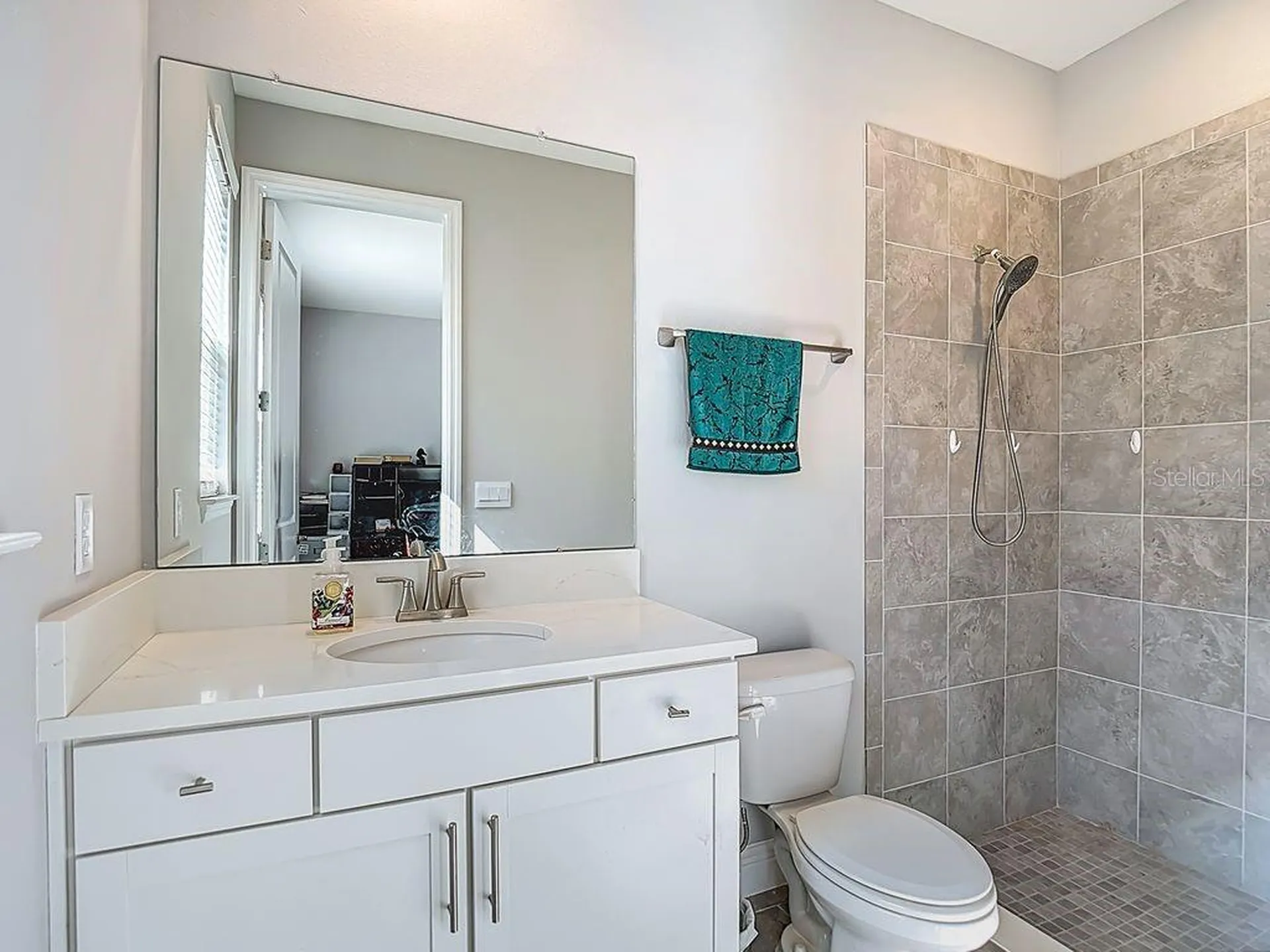 23278 Scaglione Drive Lutz FL 33549