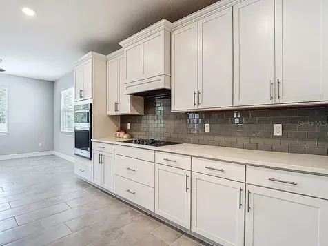 23278 Scaglione Drive Lutz FL 33549