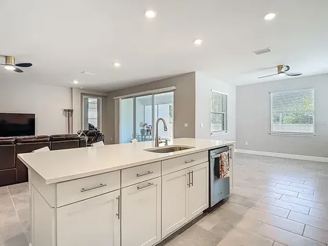 23278 Scaglione Drive Lutz FL 33549