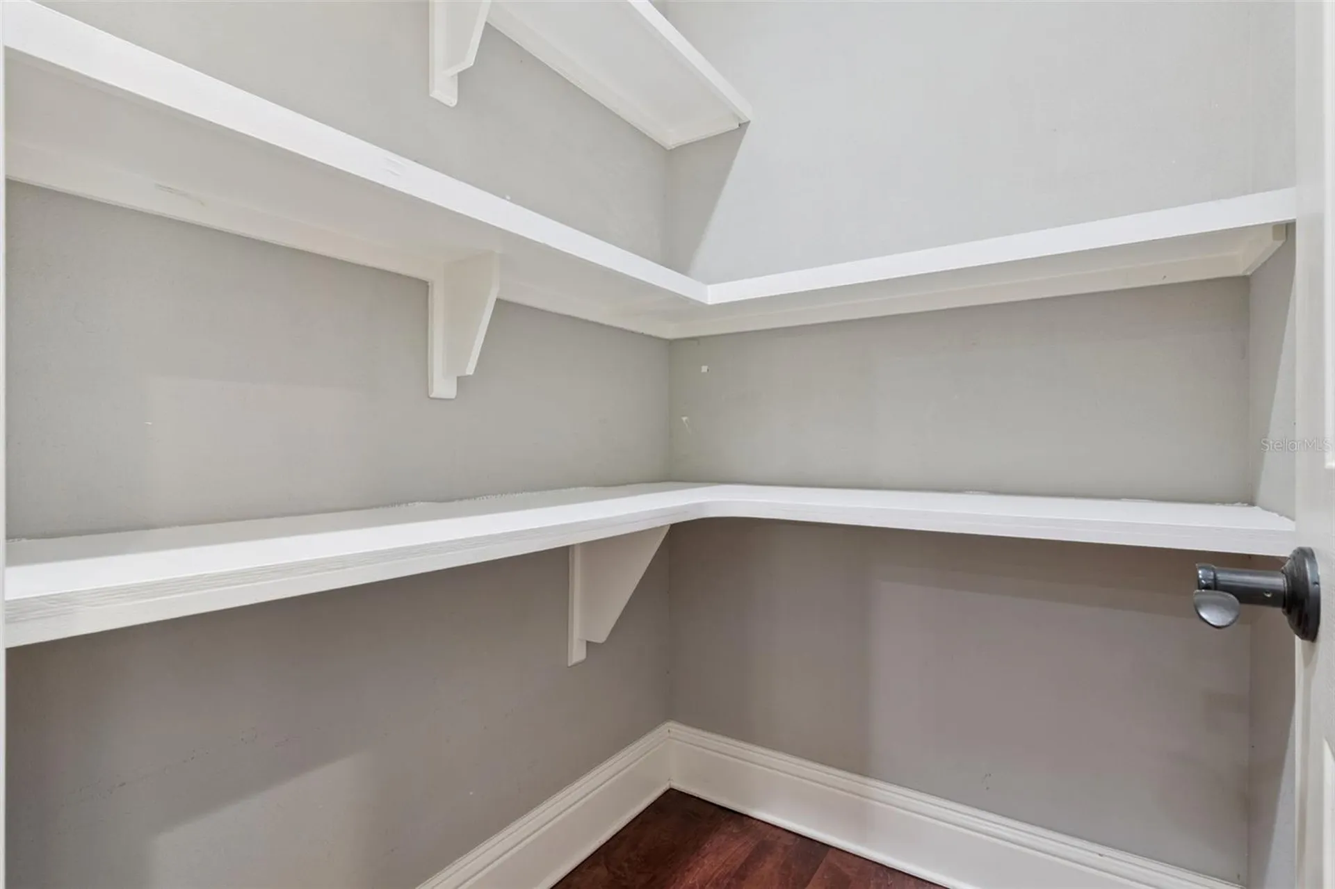 1244 Elysium Boulevard Mount Dora FL 32757