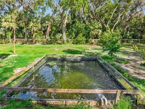 1244 Elysium Boulevard Mount Dora FL 32757