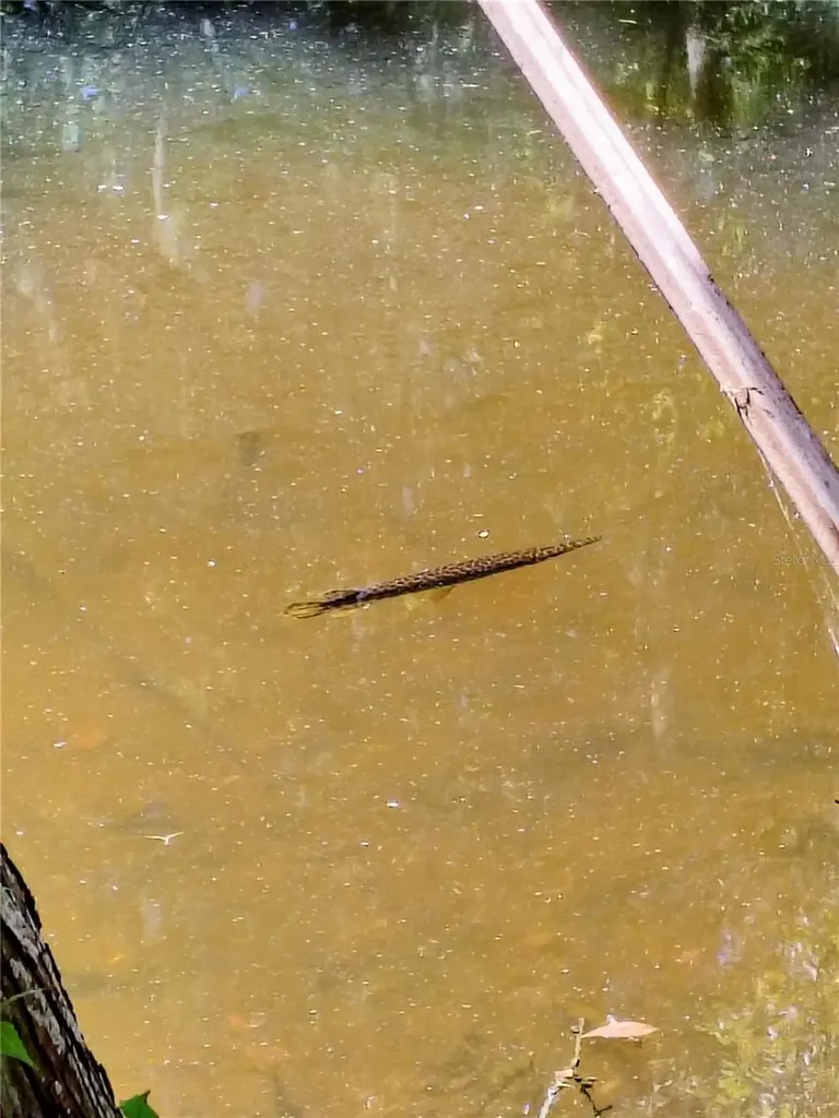 Cr 457 Lake Panasoffkee FL 33538