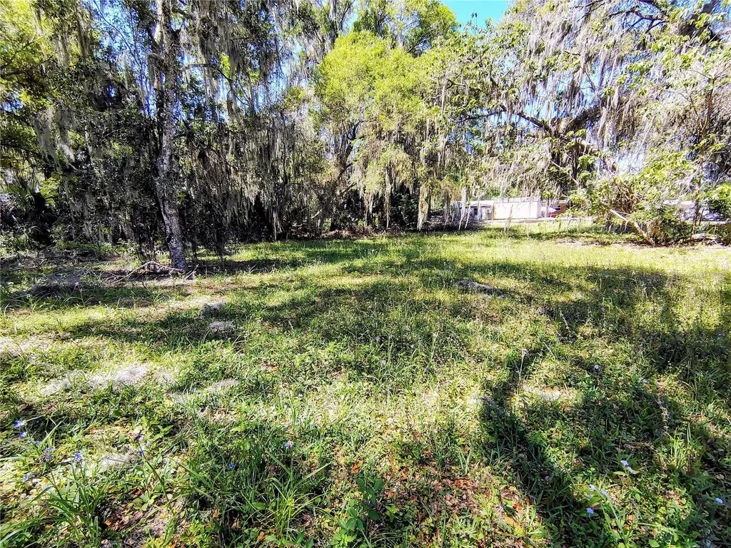 Cr 457 Lake Panasoffkee FL 33538
