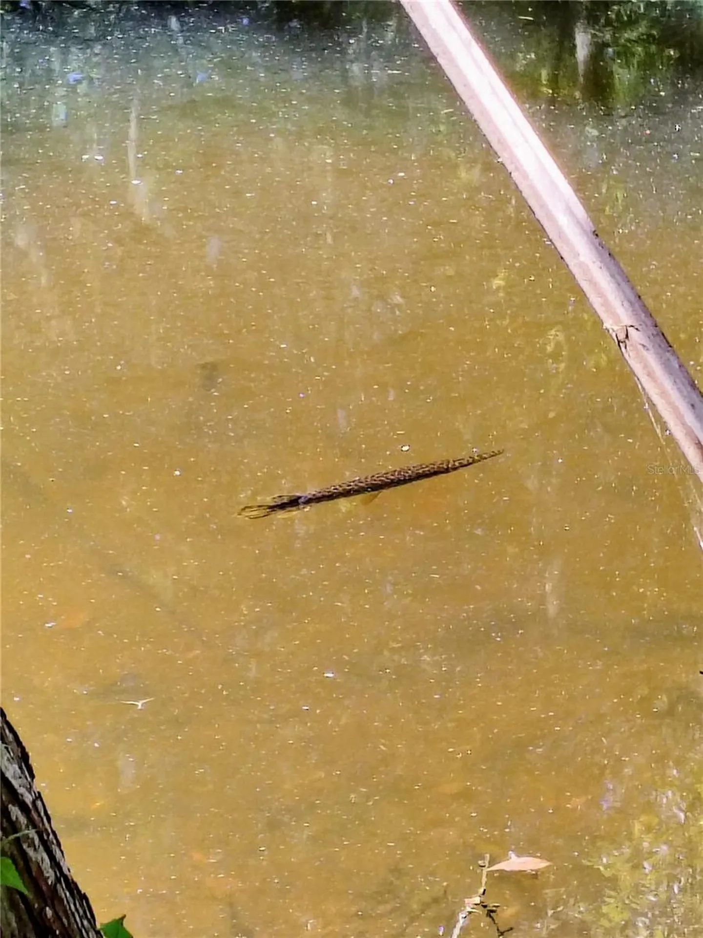Cr 457 Lake Panasoffkee FL 33538