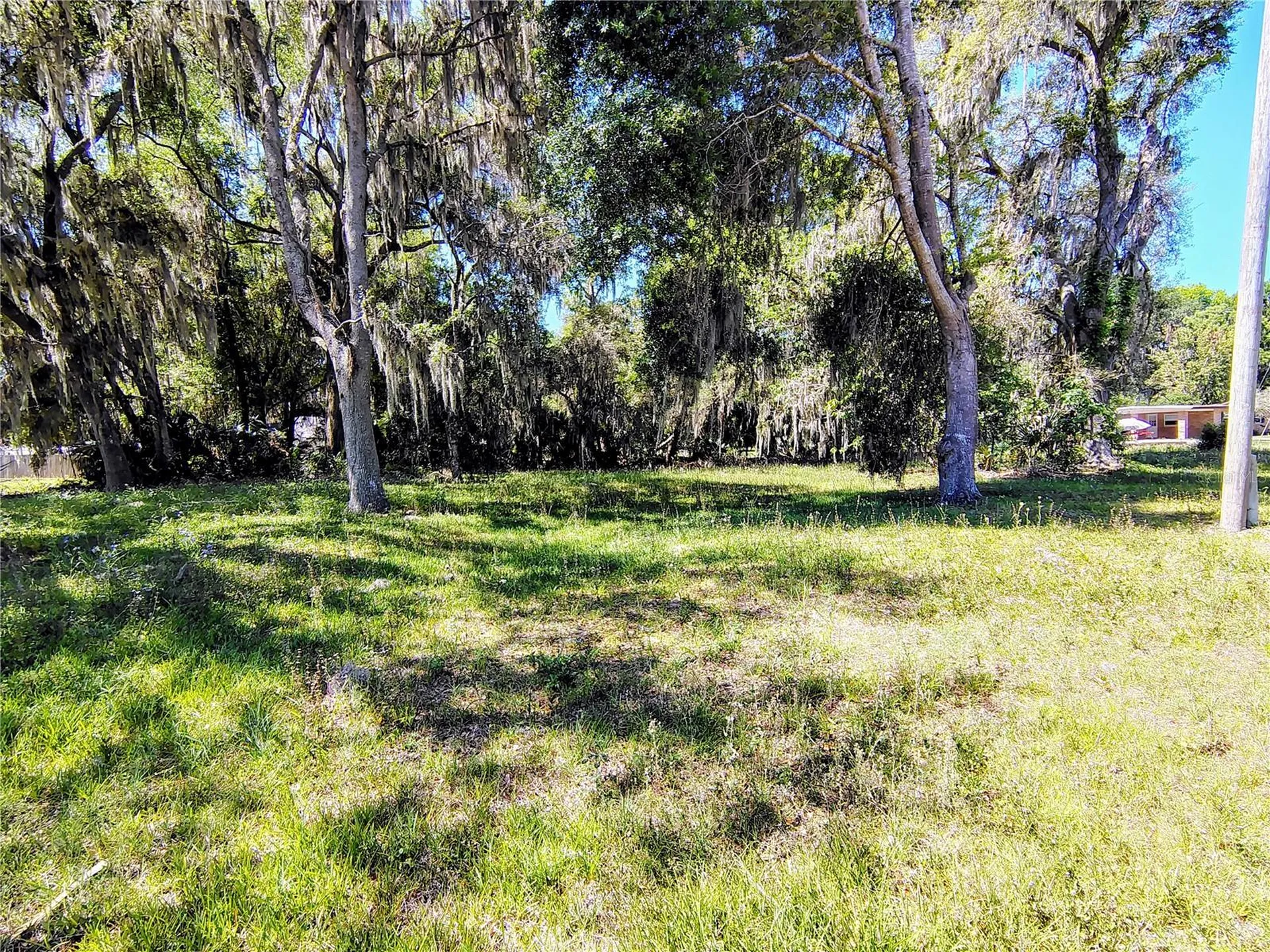 Cr 457 Lake Panasoffkee FL 33538