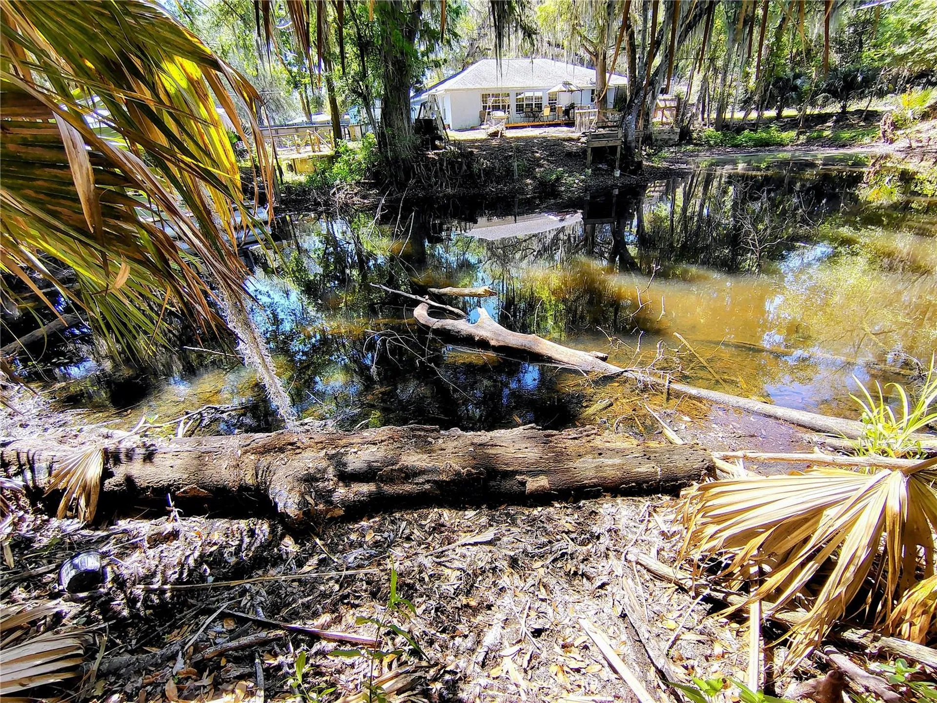 Cr 457 Lake Panasoffkee FL 33538