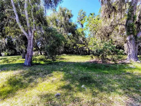 Cr 457 Lake Panasoffkee FL 33538