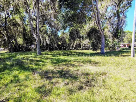 Cr 457 Lake Panasoffkee FL 33538