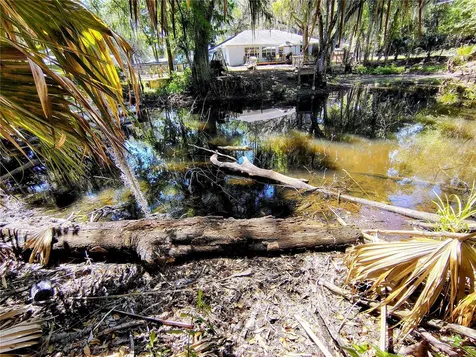 Cr 457 Lake Panasoffkee FL 33538