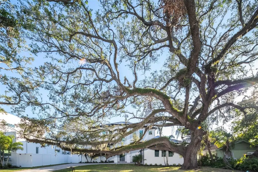 2420 Floyd Street Sarasota FL 34239