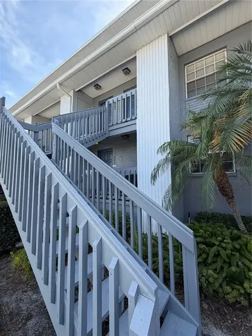 4839 Mcelroy Tampa FL 33611