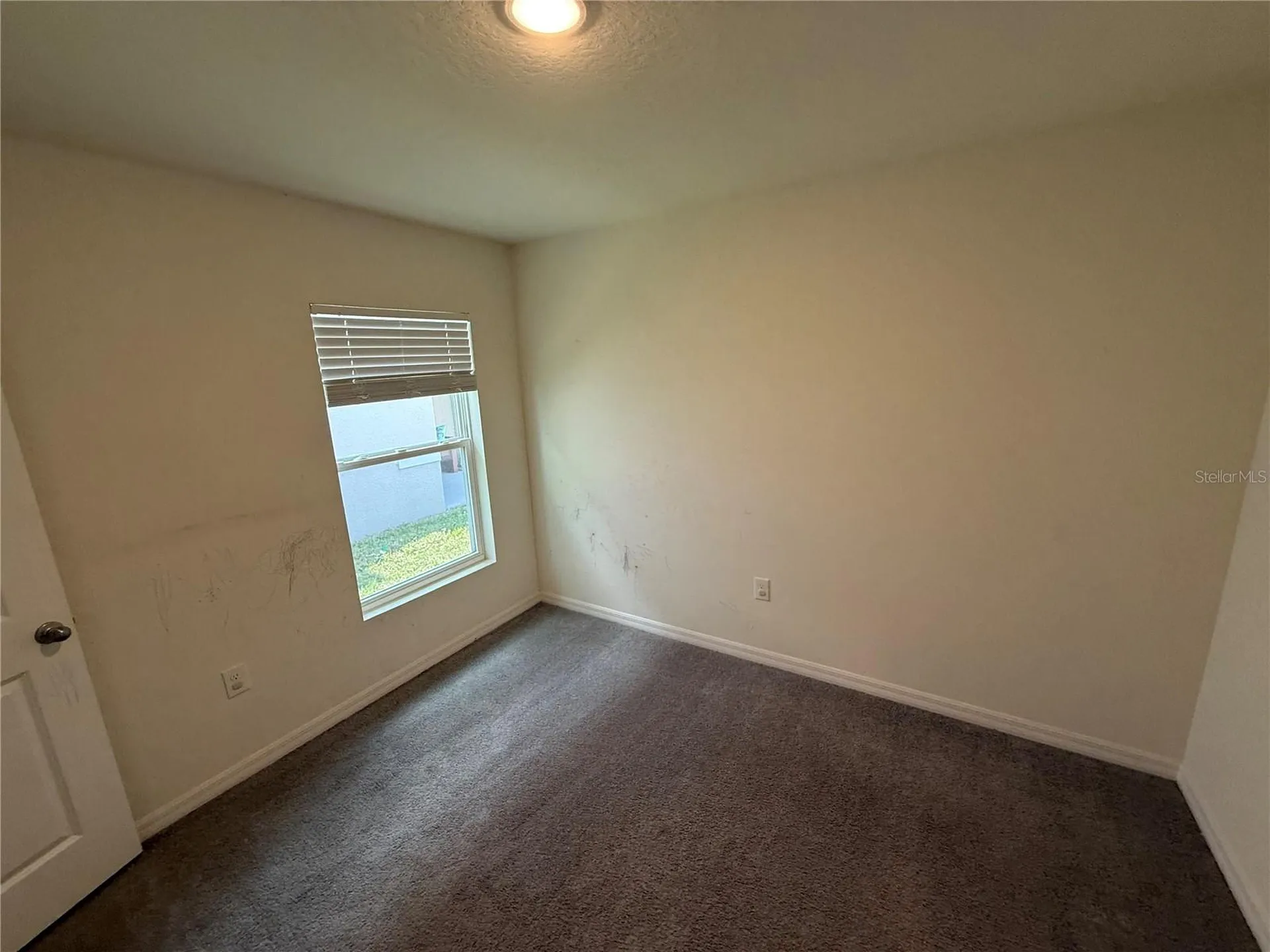 16838 Delia Street Wimauma FL 33598