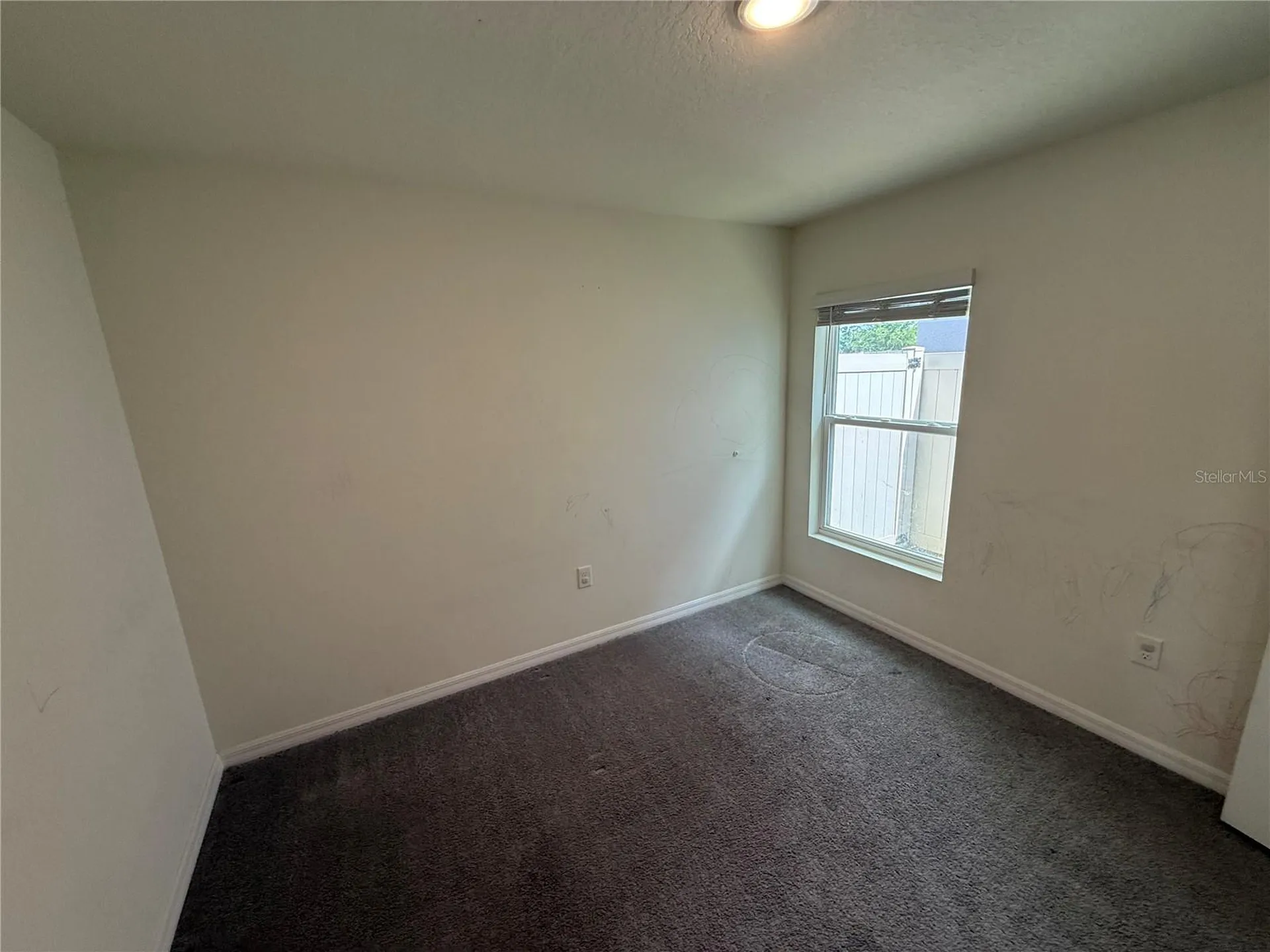 16838 Delia Street Wimauma FL 33598
