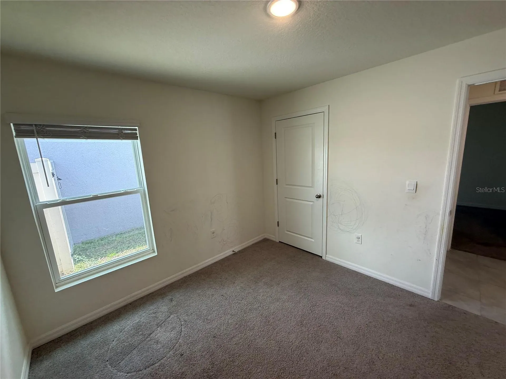16838 Delia Street Wimauma FL 33598