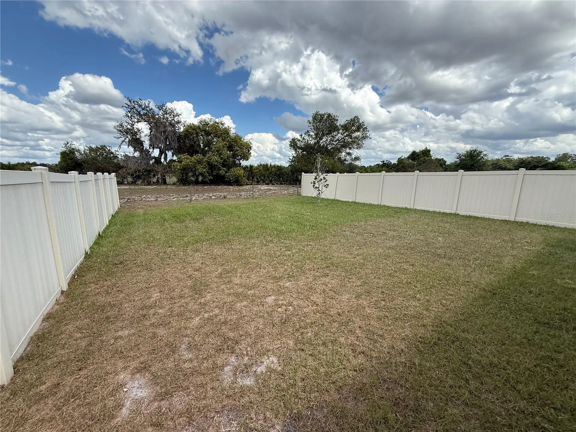 16838 Delia Street Wimauma FL 33598