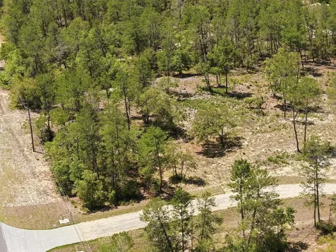 13183 Haven (lot 1) Trail Weeki Wachee FL 34614
