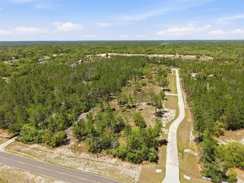13183 Haven (lot 1) Trail Weeki Wachee FL 34614