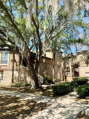 486 N Pin Oak Place Longwood FL 32779