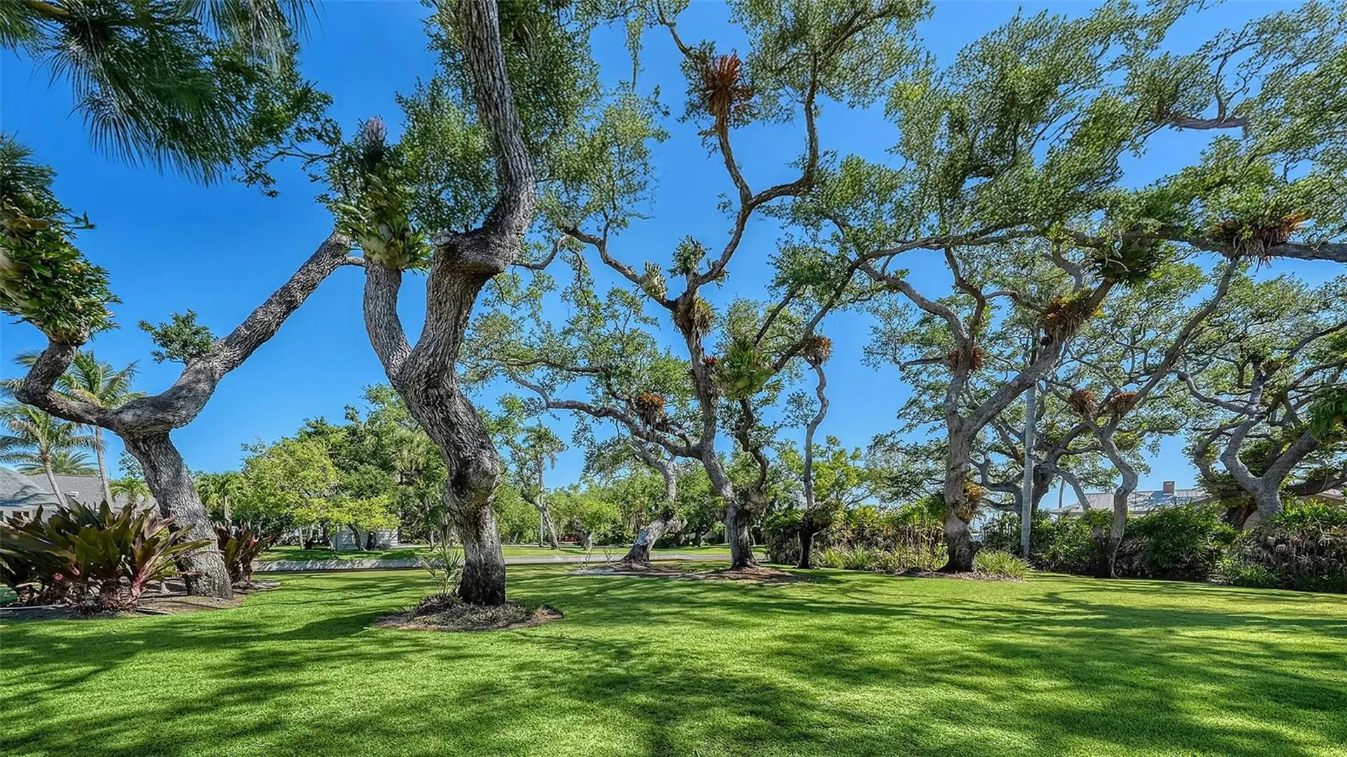 1249 S Basin Lane Sarasota FL 34242