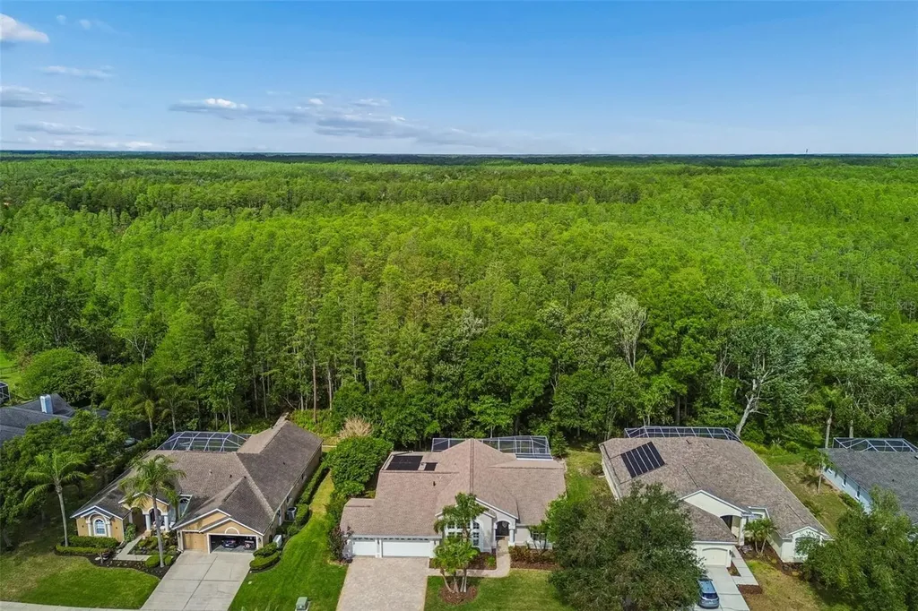 19004 Saint Laurent Drive Lutz FL 33558