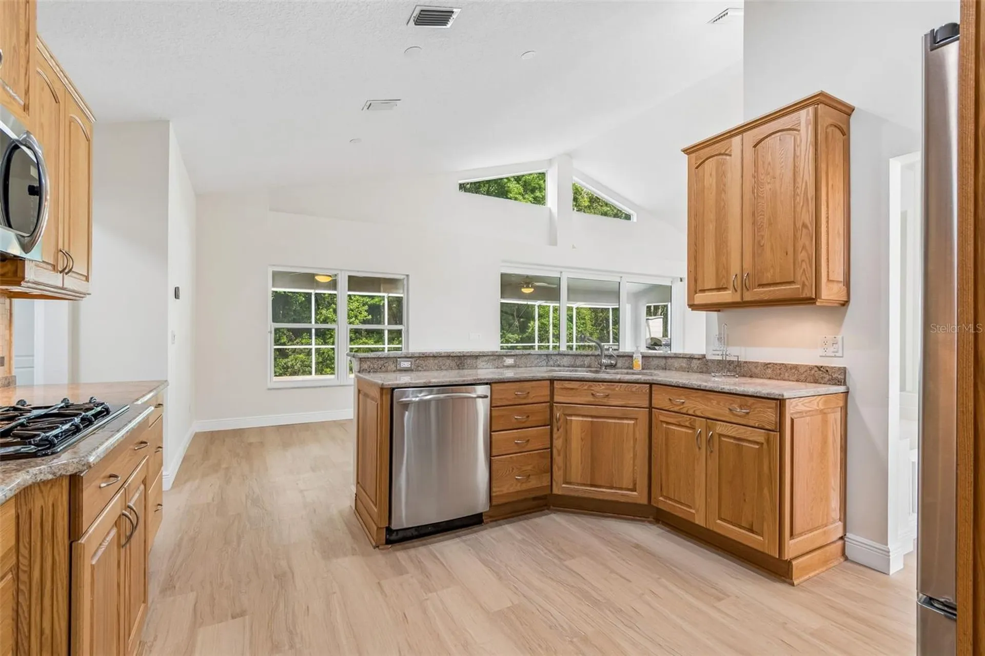 19004 Saint Laurent Drive Lutz FL 33558