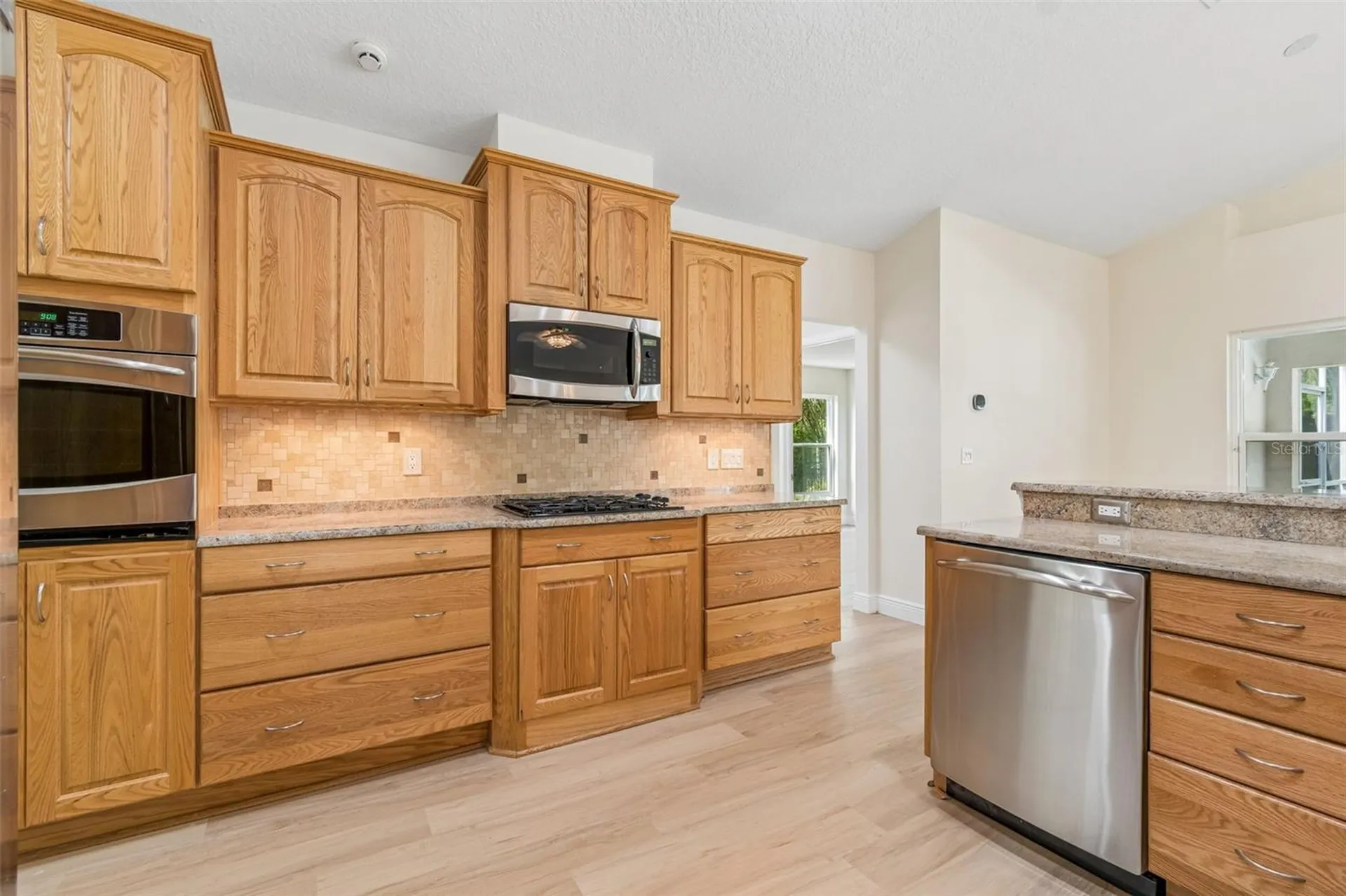 19004 Saint Laurent Drive Lutz FL 33558