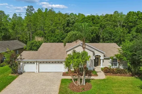 19004 Saint Laurent Drive Lutz FL 33558