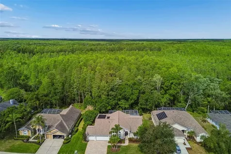 19004 Saint Laurent Drive Lutz FL 33558