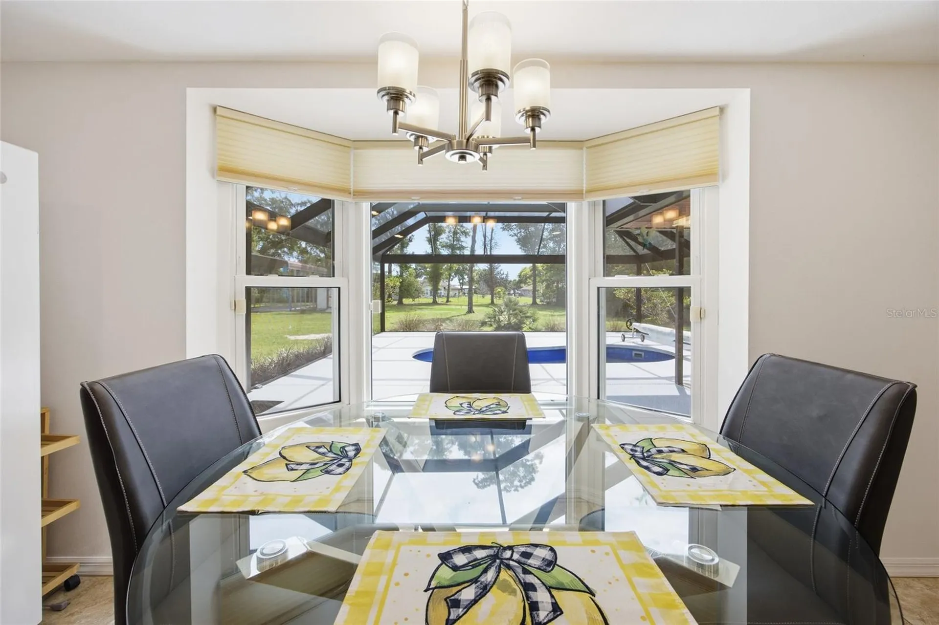 10165 SW 65th Terrace Ocala FL 34476