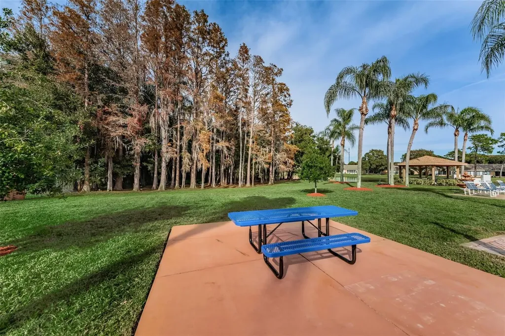 9427 Cape Charles Avenue New Port Richey FL 34655
